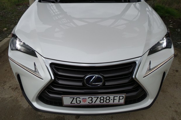 Lexus NX 300h AWD Executive (04)