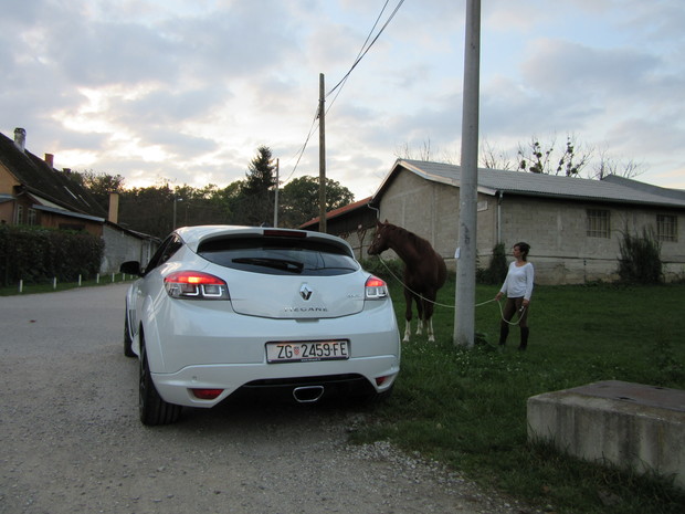 Renault Megane Coupe R. S.  (03)