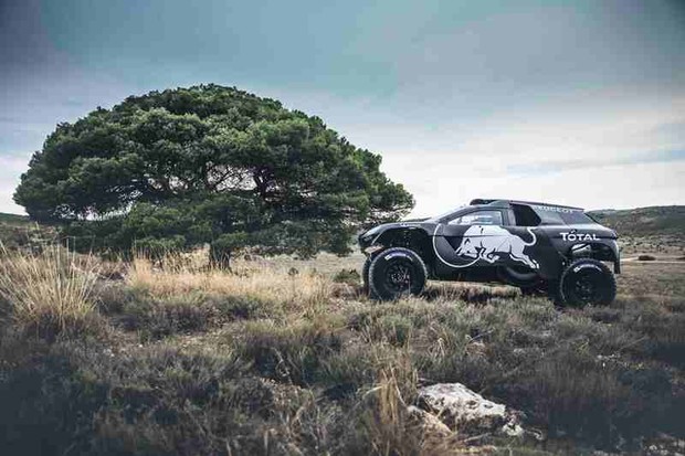 Zvijer Peugeot 2008 DKR16