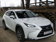 Lexus|#NX 300h - NX 300h AWD Executive