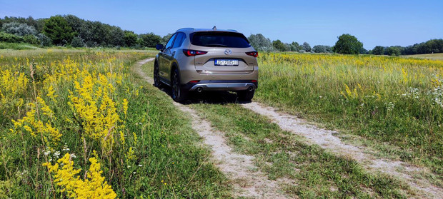 2022 Mazda CX-5 G194 AT Newground izvana 08