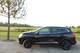 Renault Kadjar 1.6 dCi 130 Iconic (20)