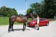Renault Megane 1.2 TCe 100 Zen (22)