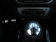 Renault Megane Coupe R. S. (16)