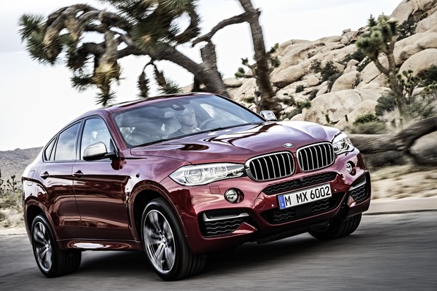 BMW X6 2015 (06)