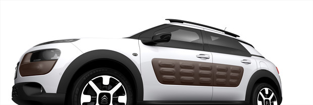 Citroen C4 Cactus (22)