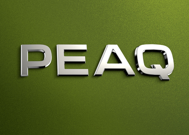 Škoda Peaq: ime nove električne perjanice