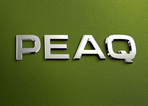 Škoda Peaq: ime nove električne perjanice